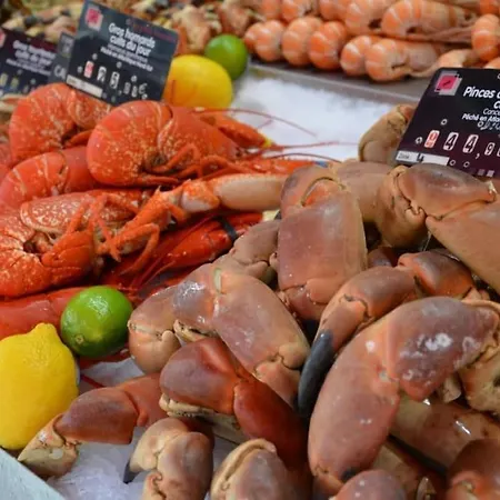 شقة 2 Pieces, Face Casino, 20 Metres Plage. تروفيي سور مير